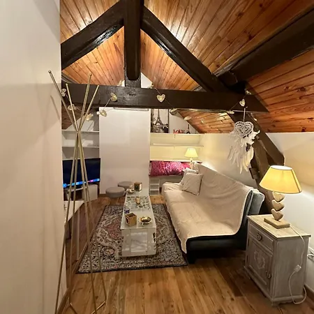 Apartment Renove Et Equipe *